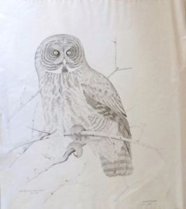 267x300 Vintage Owl Print By Nature Artist Howard F. Coneybeare Ebay - Vintage Owl Sketch