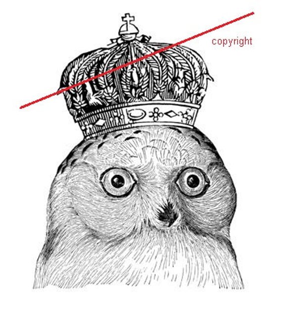 570x672 Vintage Owl Temporary Tattoo Etsy - Vintage Owl Sketch