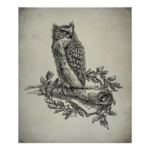 307x307 Antique Owl Posters Amp Prints Zazzle Uk - Vintage Owl Sketch