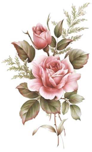 309x509 Nurcan Rossa Tattoo, Decoupage And Flowers - Vintage Rose Sketch