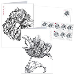300x300 Usps New A Vintage Rose Notecard Set With Stamps Ebay - Vintage Rose Sketch