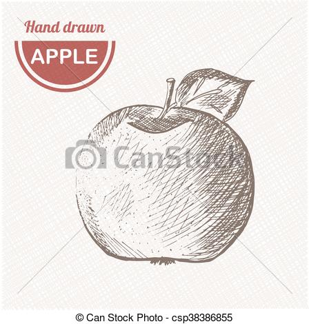 448x470 Sketches Apple Composition. Hand Drawn Apple. Vintage Sketch Style - Vintage Sketches