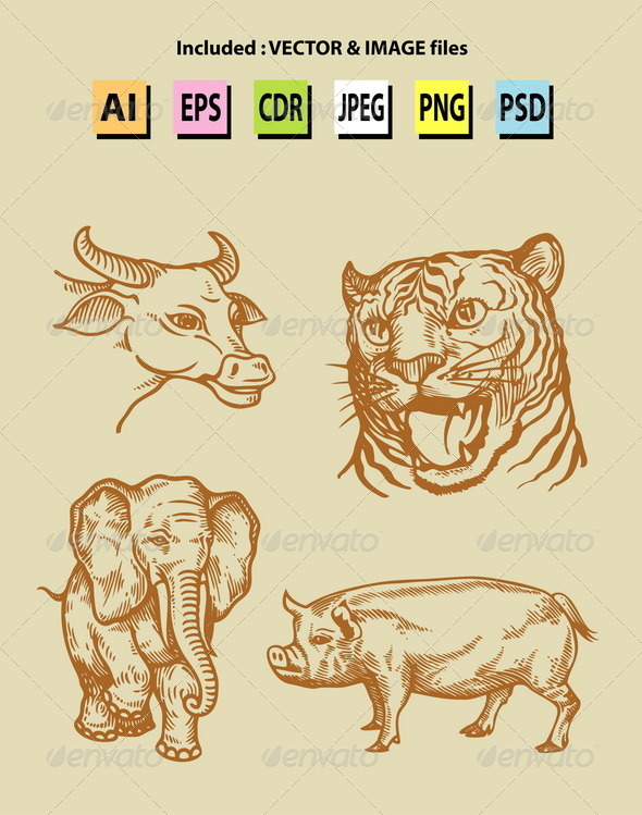 590x749 Vintage Animal Sketches By Lo Goqu Graphicriver - Vintage Sketches