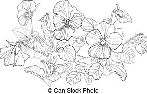 300x192 Collection Of Viola Flower Drawing High Quality, Free - Violet Flower Sketch