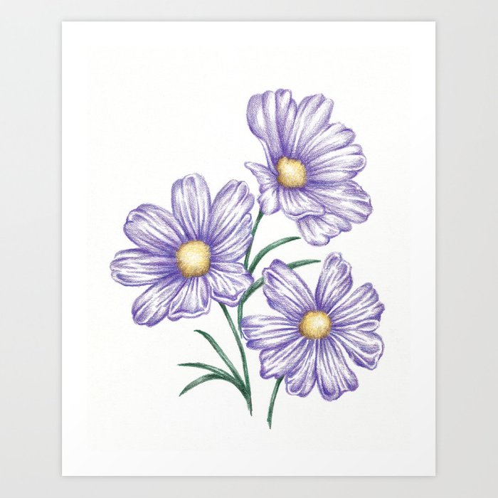 700x700 Purple Flower Garden Art Drawing Print Daisy Art Print By - Violet Flower Sketch
