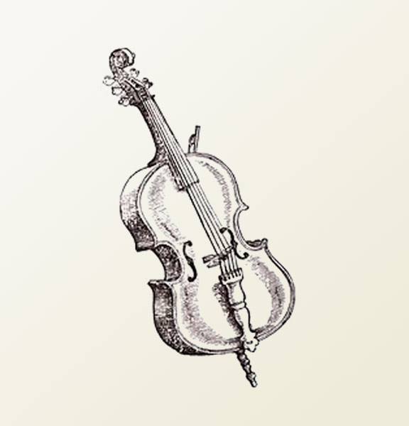 576x600 Knoll 34 Brazilwood Violin Bow - Violin Bow Sketch