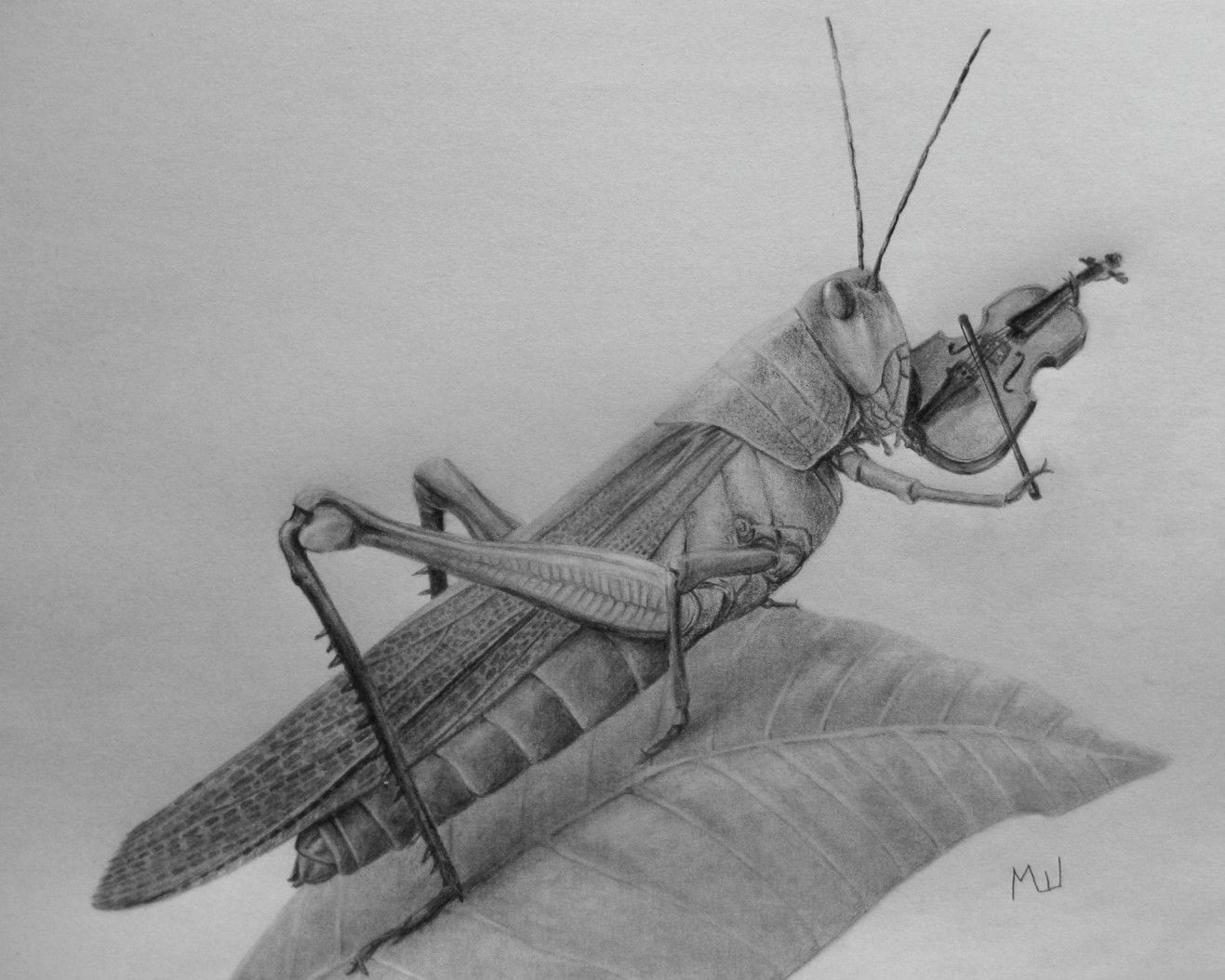 1317x1054 Violin Pencil Sketch Violin Pencil Sketch Pencil Drawing Of A - Violin Pencil Sketch