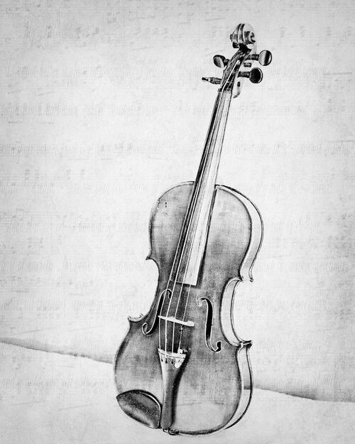 500x625 A Simple Violin Pencil Sketch! - Violin Pencil Sketch