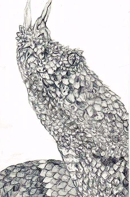 453x685 Rhinocerus Viper Sketch By Rainmoon11 - Viper Sketch