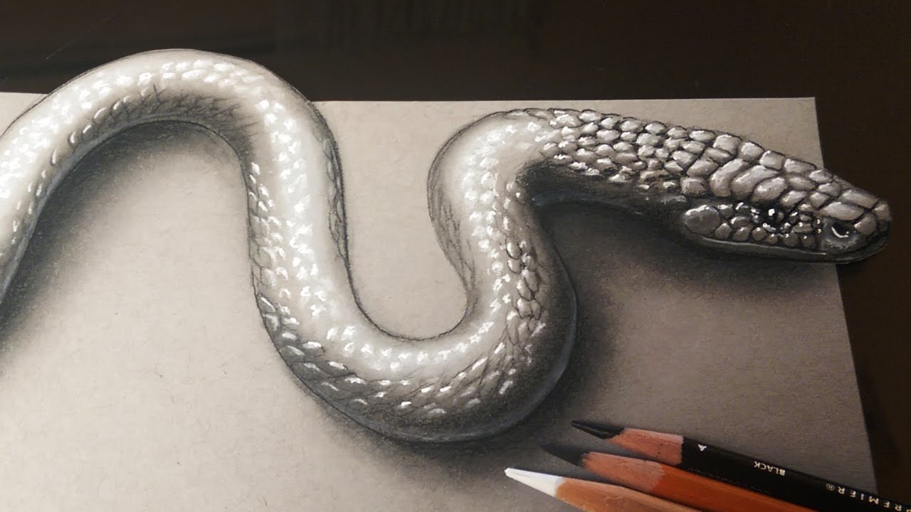 1280x720 How To Draw A Realistic 3d Snake - Viper Snake Sketch