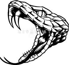 231x219 Viper Snake Head Drawing - Viper Snake Sketch