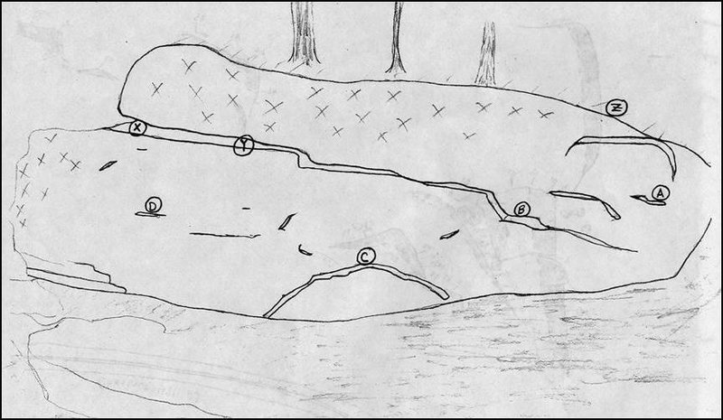 800x465 Beta Drawing Of West Virginia Wall - Virginia Sketch