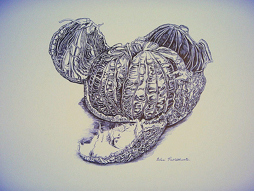 500x375 Virtual Sketch Date Clementine My First Drawing For The - Virtual Sketch