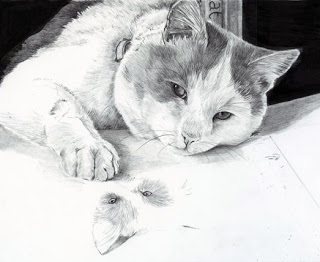 320x262 Fur In The Paint Virtual Sketch Cat In Graphite And India Ink - Virtual Sketch