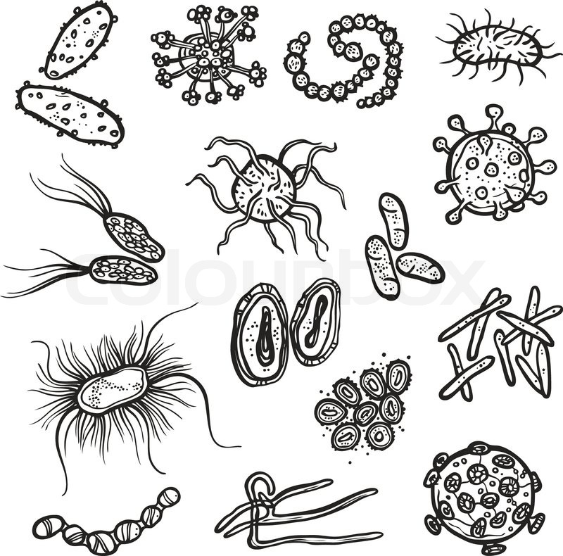 800x790 Bacteria And Virus Cell Black Sketch Decorative Icons Set Isolated - Virus Sketch