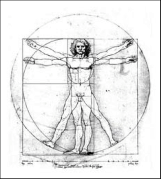 326x363 The Vitruvius Man. Leonardo Da Vinci Download Scientific Diagram - Vitruvian Man Sketch