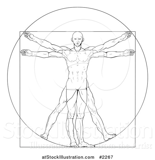 600x620 Vector Illustration Of A Sketched Vitruvian Man By - Vitruvian Man Sketch