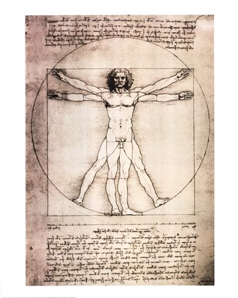 346x432 Vitruvian Man, 1492 Fine Art Print By Leonardo Da Vinci - Vitruvian Man Sketch