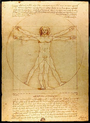 300x408 Vitruvian Man - Vitruvian Man Sketch