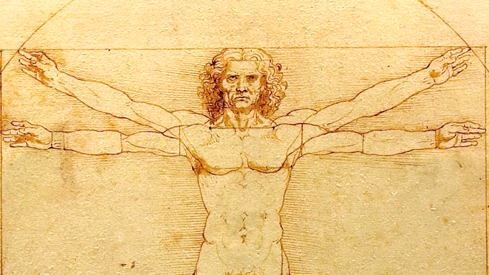 960x540 Vitruvian Man Sketch Leonardo Da Vinci Hd Stock Video 472 - Vitruvian Man Sketch