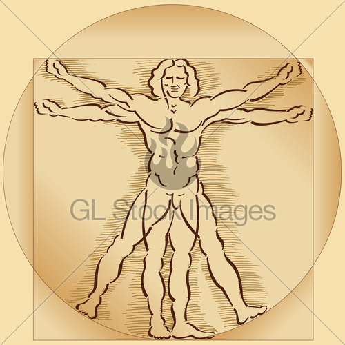 500x500 Vitruvian Man Sepia Gl Stock Images - Vitruvian Man Sketch