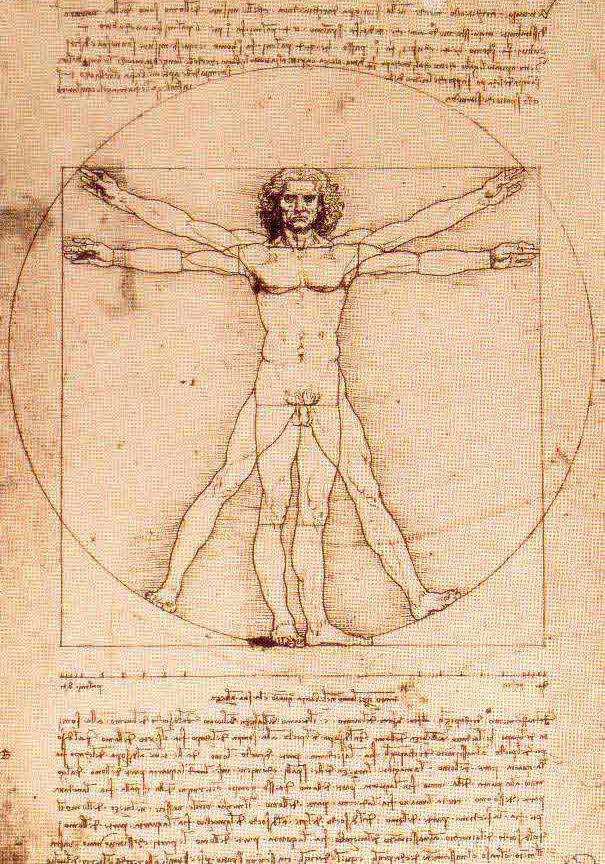605x864 Vitruvian Man - Vitruvian Man Sketch