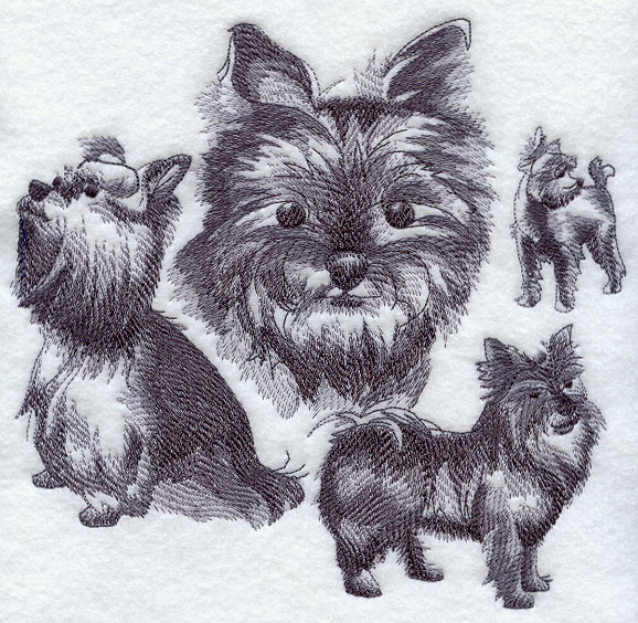 578x564 Machine Embroidery Designs - Vizsla Sketch