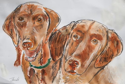 400x268 Photography And Art Of Jim Arnold Vizsla Dogs An Ink, Watercolor - Vizsla Sketch