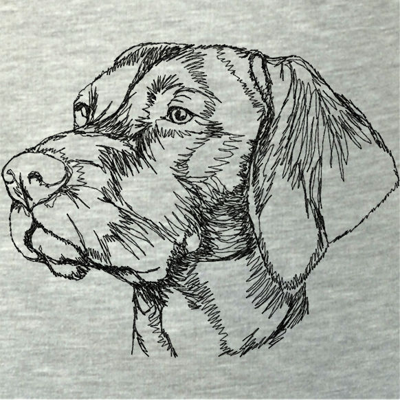 Vizsla Sketch at PaintingValley.com | Explore collection of Vizsla Sketch