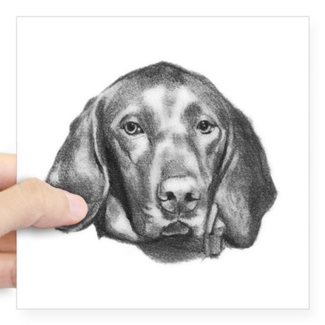 460x460 Vizsla Square Stickers - Vizsla Sketch