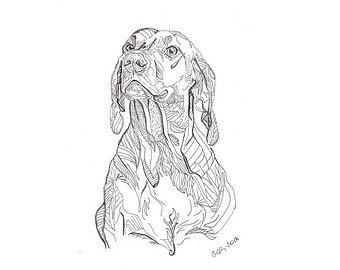 340x270 Vizsla Drawing Etsy - Vizsla Sketch