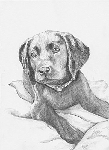 364x500 Original Pet Portrait. One Of A Kind Sketch Of You Dog - Vizsla Sketch