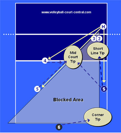 391x428 Volleyball Defense Diagrams Amp Explanations - Volleyball Court Sketch