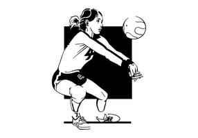 286x200 Volleyball Net Free Vector Art - Volleyball Net Sketch