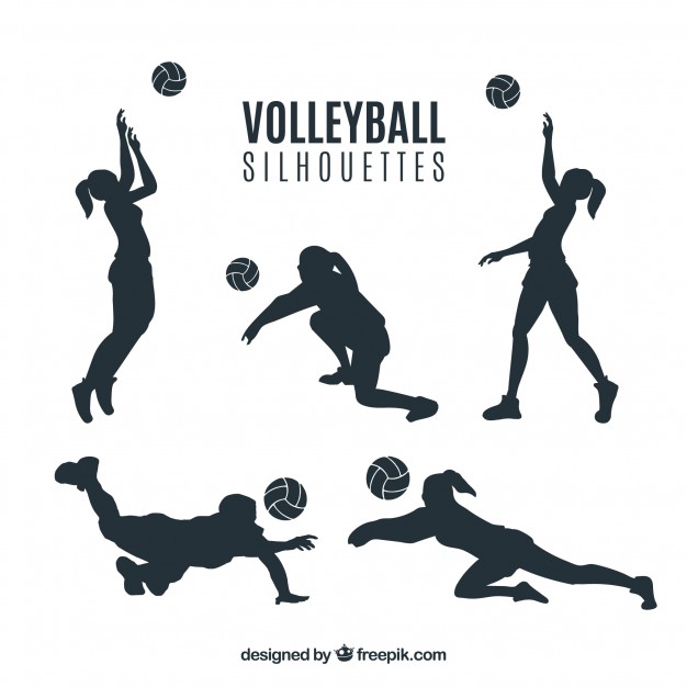 626x626 Volleyball Vectors, Photos And Psd Files Free Download - Volleyball Player Sketch