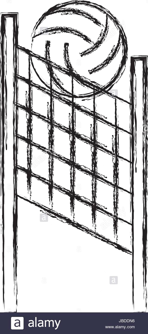 616x1390 Sketch Draw Volleyball Net And Ball Cartoon Jbddn6 - Volleyball Sketch