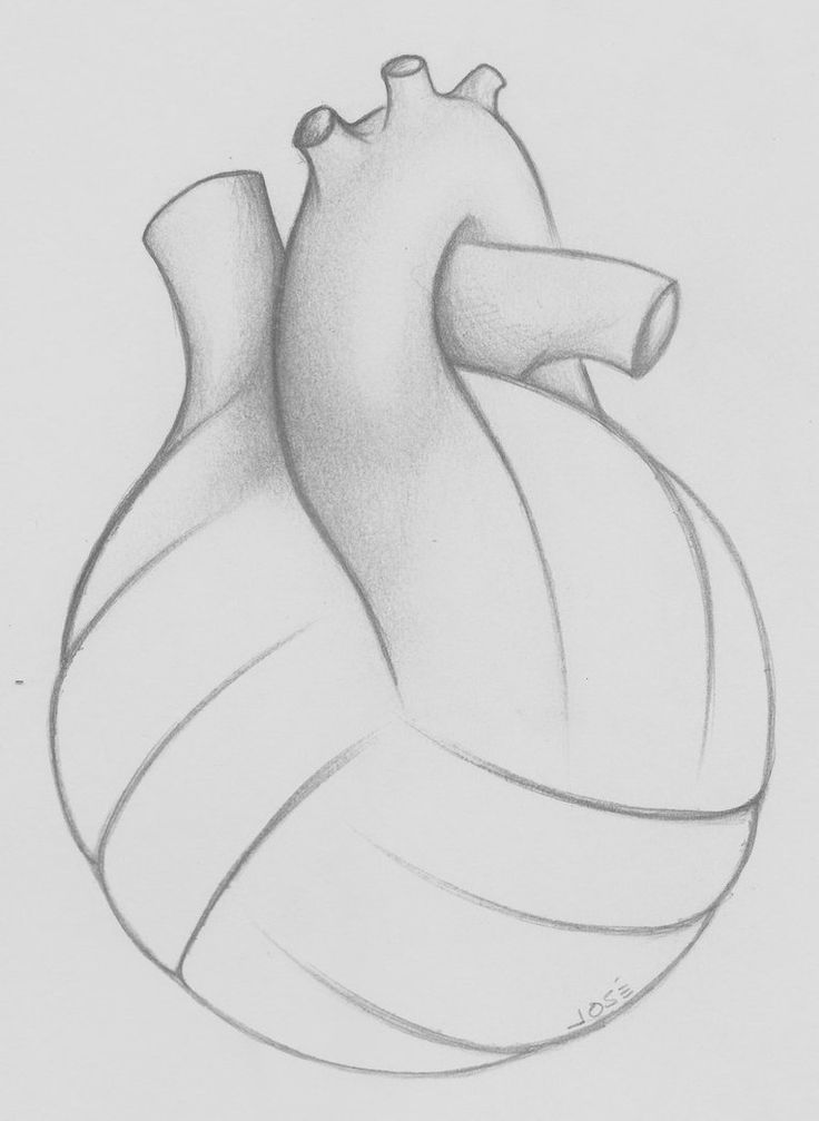 736x1007 Collection Of Volleyball Heart Drawing High Quality, Free - Volleyball Sketch