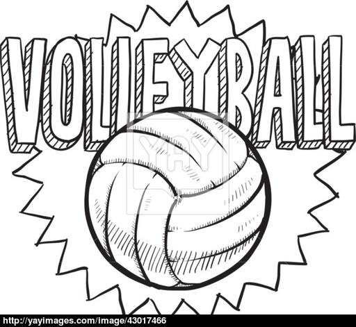512x471 Volleyball Sketch Vector - Volleyball Sketch