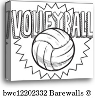 195x200 Canvas Print Of Volleyball Sketch Barewalls Posters Amp Prints - Volleyball Sketch