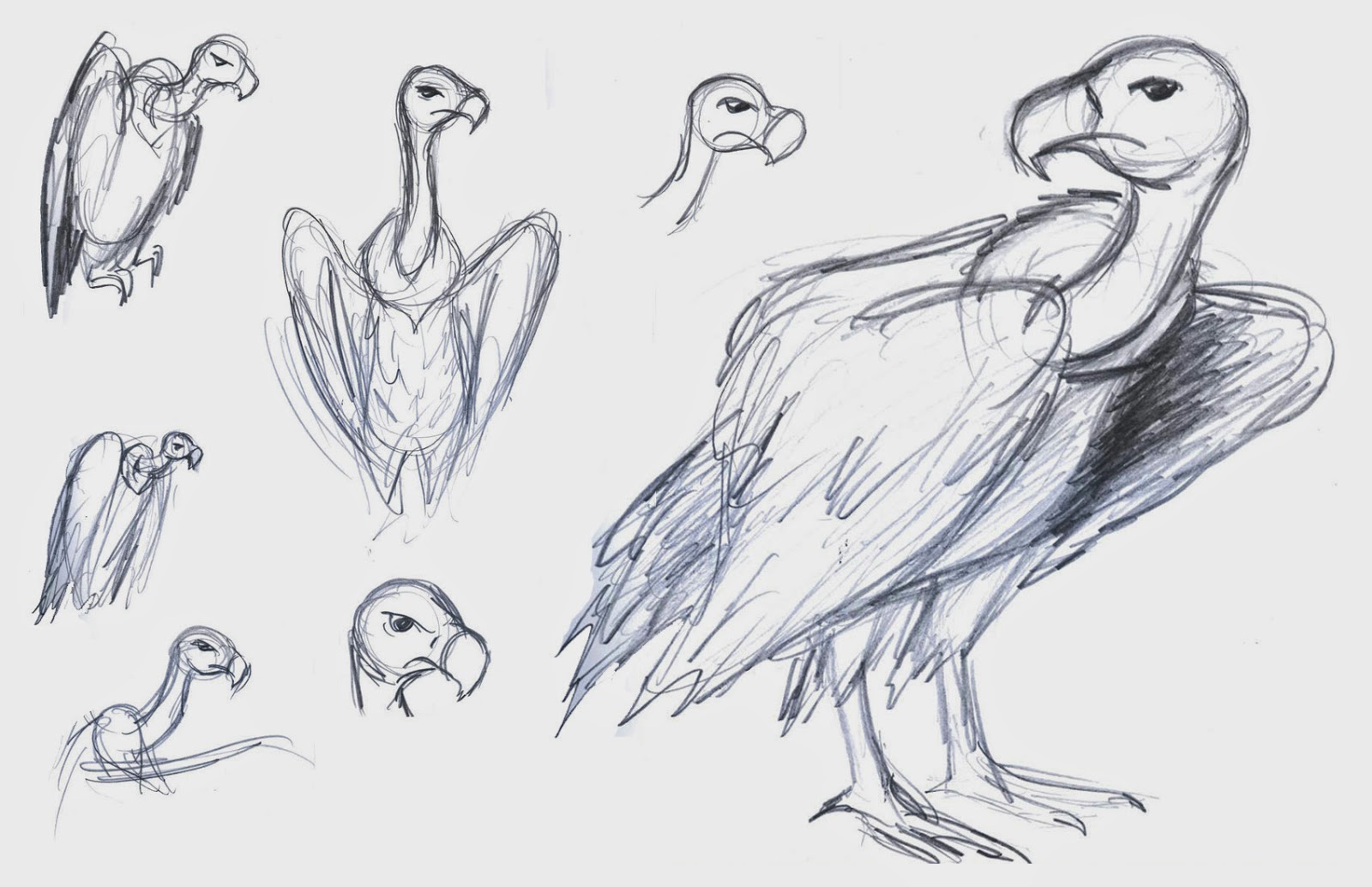 1600x1035 Proactive Dreamer Blog Andrew Marshel Vultures Always Come Back - Vulture Sketch