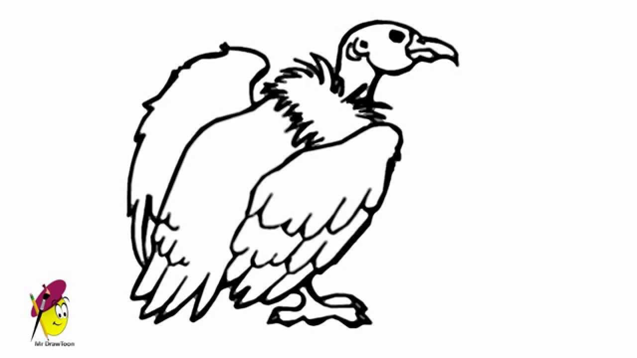 1280x720 Vulture - Vulture Sketch