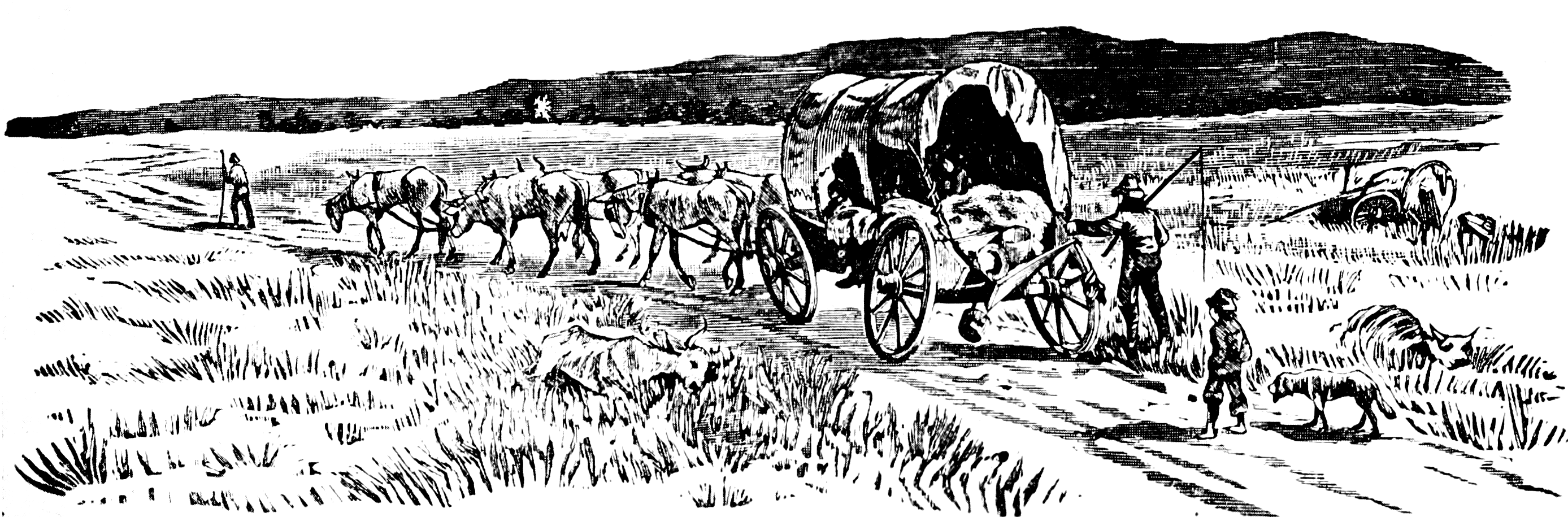 2775x915 Filecovered Wagon On Trail Sketch.png - Wagon Sketch