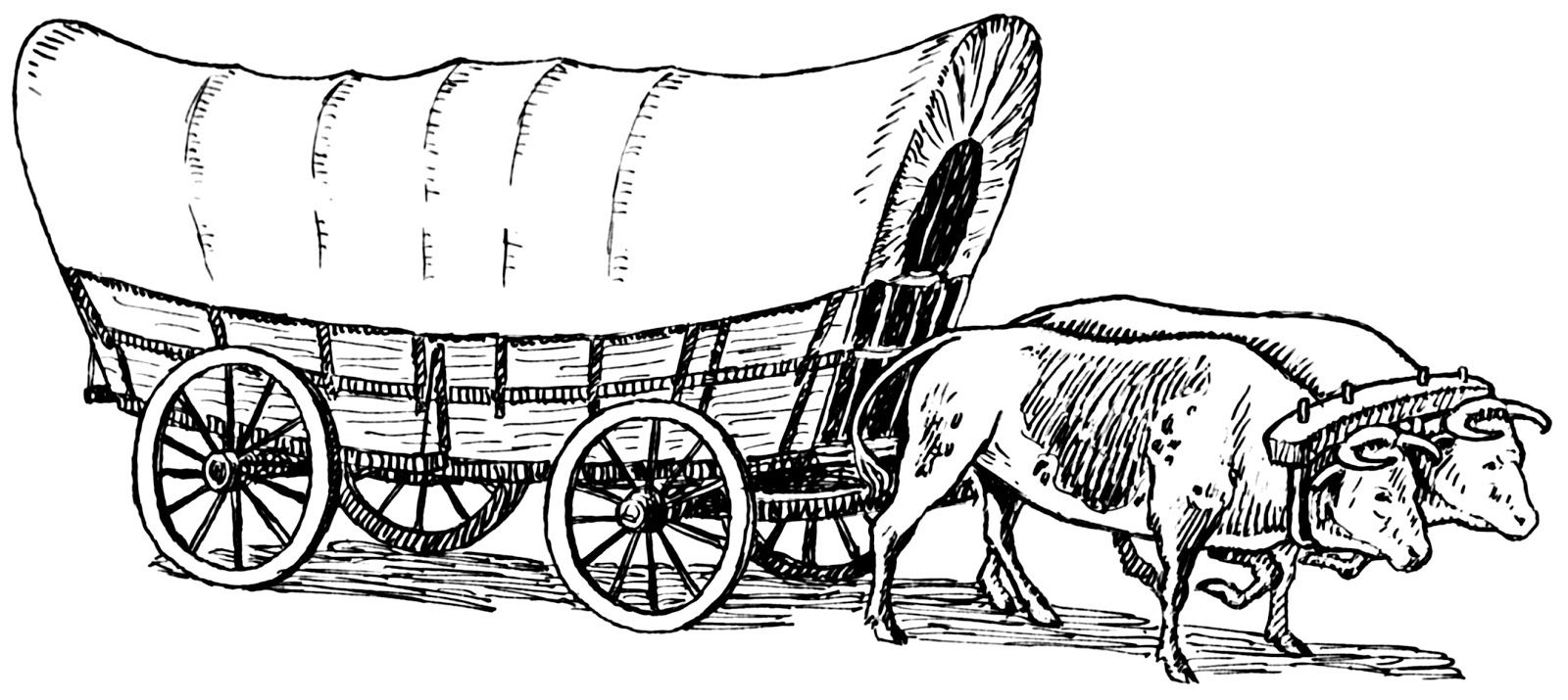 1600x715 Two Oxen Conastoga Wagon Sketch West History The Prairie - Wagon Sketch