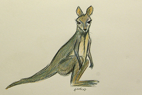 500x333 Wallaby Sketch In Pencil It Occurred To Me That, Though I - Wallaby Sketch