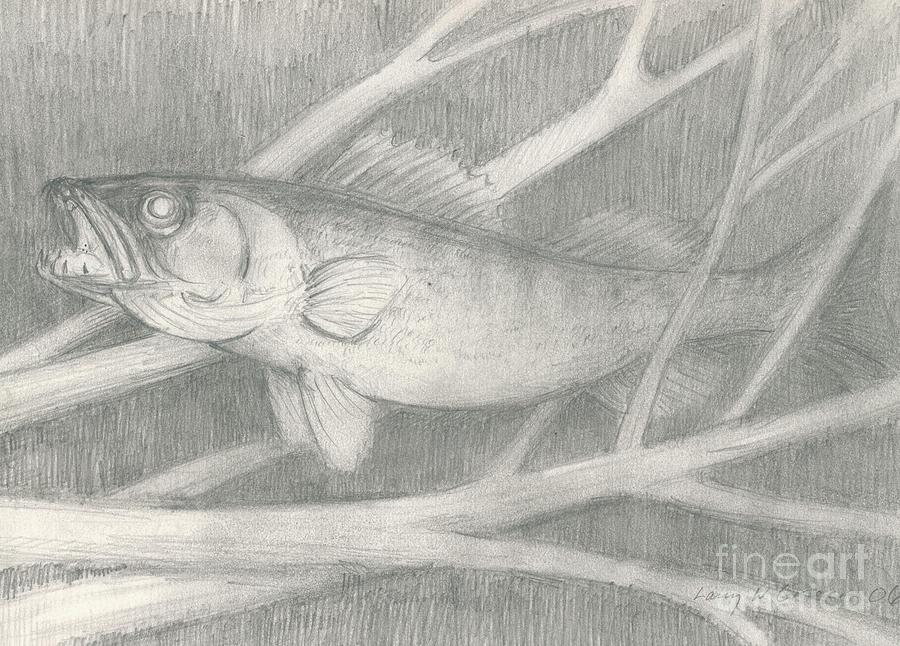 900x646 The Walleye Drawing By Larry Green - Walleye Sketch