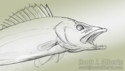 400x228 Walleye Sketch By Scott Alberts - Walleye Sketch