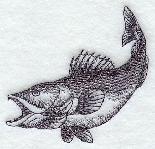 304x293 Walleye Sketch Design (H4390) From Embroidery - Walleye Sketch