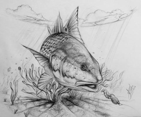 480x397 Walleye Yusniel Santos - Walleye Sketch