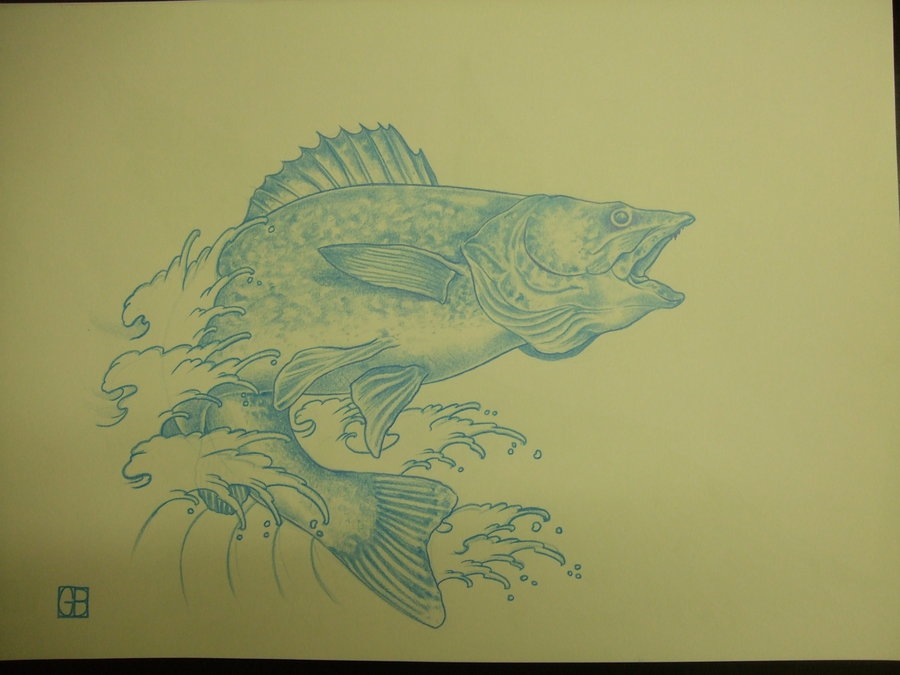 900x675 Walleye Fish By Asatorarise - Walleye Sketch