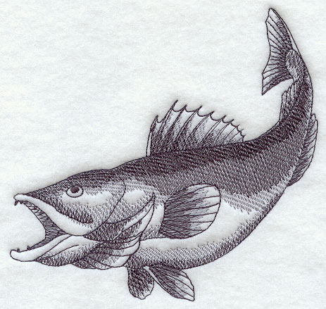 463x439 Machine Embroidery Designs - Walleye Sketch